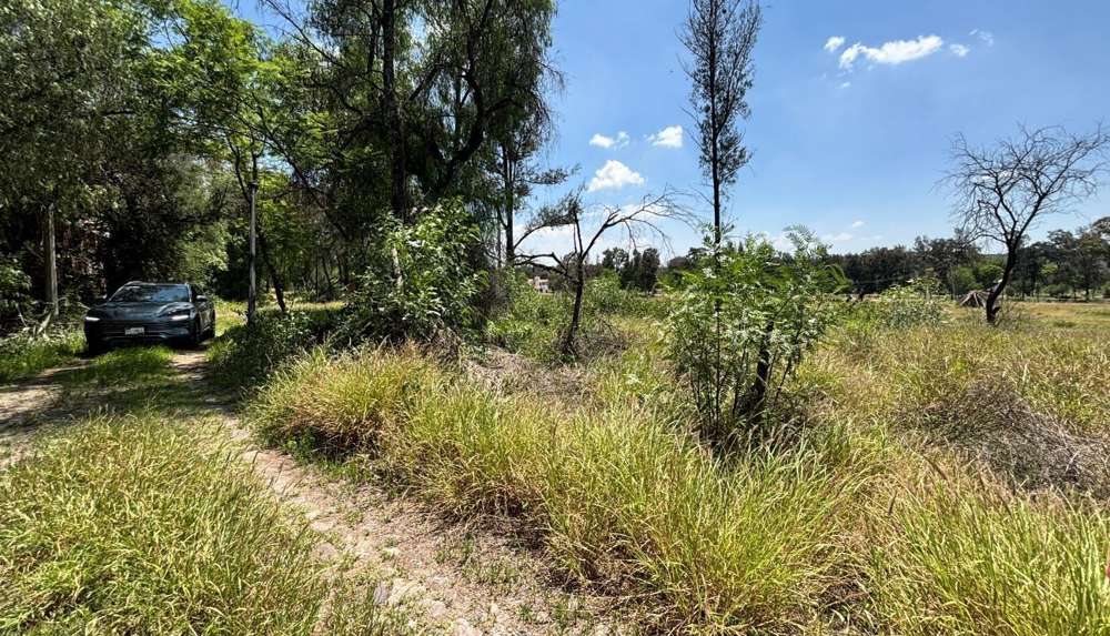 Terreno en Venta en Fraccionamiento Rancho La Pitaya, Guanajuato miniatura 7