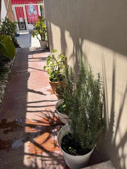 Casa en Venta en Álamos 3a. Sección, Querétaro - Zona Céntrica miniatura 32