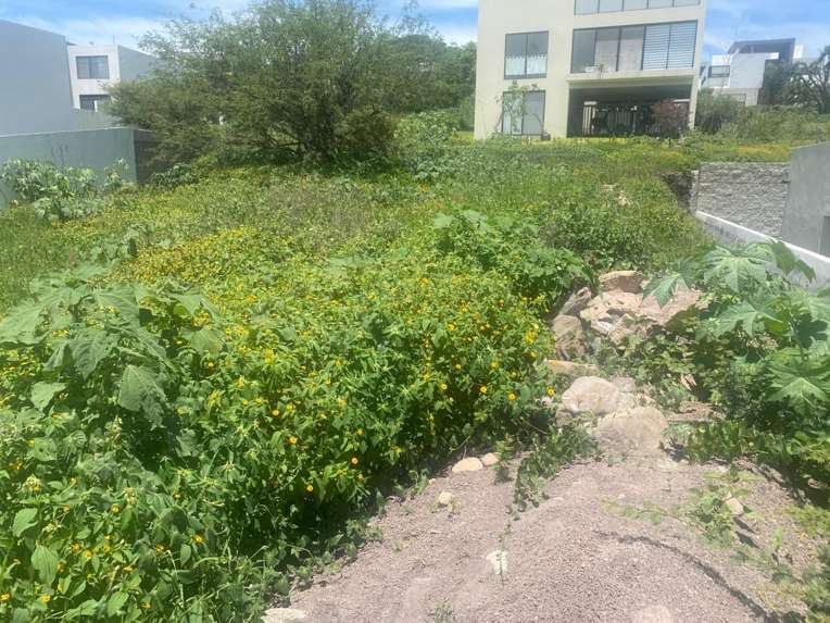 Terreno Residencial en Venta en Sección Tolmo, Vista Real, Corregidora, Querétaro miniatura 6