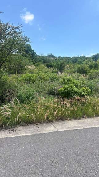 Terrenos en Venta en Vista Real, Sección Tolmo, Corregidora, Querétaro miniatura 11