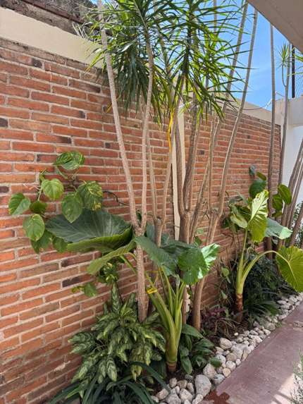 Casa en Venta en Álamos 3a. Sección, Querétaro - Zona Céntrica miniatura 31