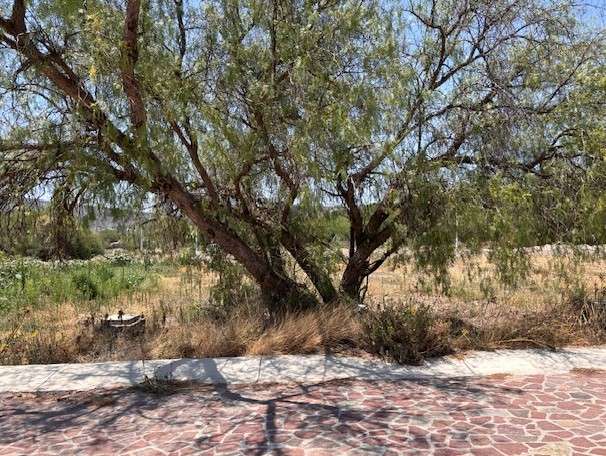 Lote en Venta en El Encino Residencial & Golf, Huimilpan, Querétaro miniatura 4