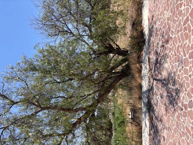 Lote en Venta en El Encino Residencial & Golf, Huimilpan, Querétaro miniatura 7