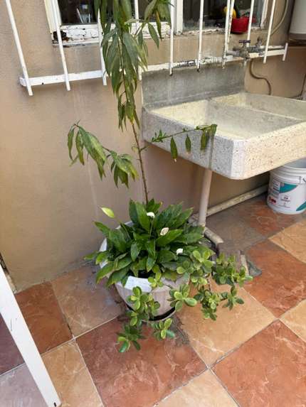 Casa en Venta en Álamos 3a. Sección, Querétaro - Zona Céntrica miniatura 30