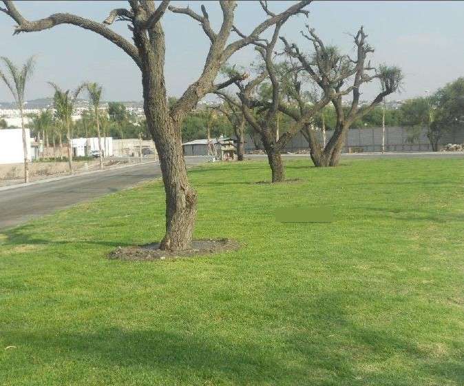 Casa en Venta con 4 Recámaras - Residencial Portanova, El Pueblito, Querétaro miniatura 21