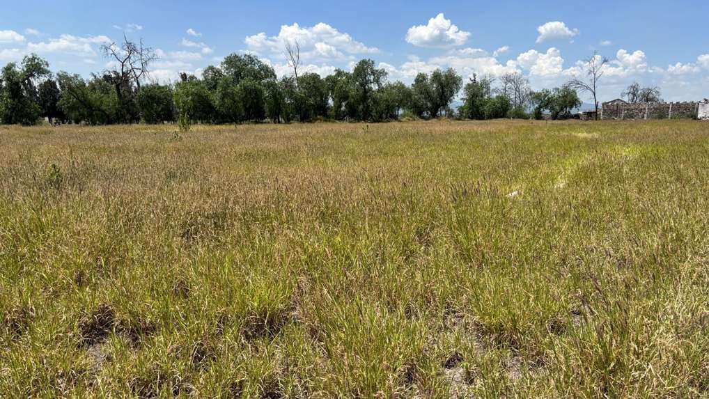 Terreno en Venta en Fraccionamiento Rancho La Pitaya, Guanajuato en Apaseo el Alto Centro, Apaseo el Alto