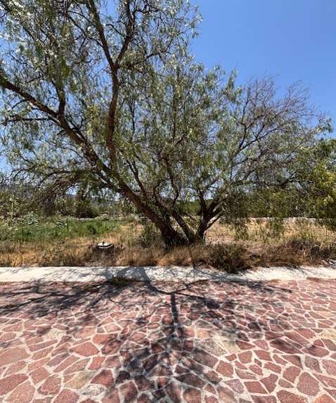 Lote en Venta en El Encino Residencial & Golf, Huimilpan, Querétaro miniatura 6