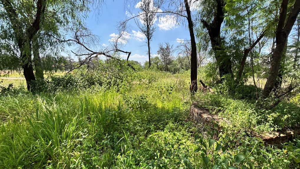 Terreno en Venta en Fraccionamiento Rancho La Pitaya, Guanajuato miniatura 9