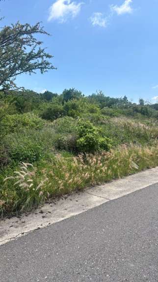 Terrenos en Venta en Vista Real, Sección Tolmo, Corregidora, Querétaro miniatura 10